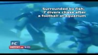 فوتبال در اعماق دریا همراه با ماهی ها!