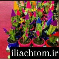 اموزش دستگاه مخمل پاش/فانتاکروم09127692842