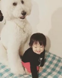 ذوق نوزاد بامزه برای سگ زیبا