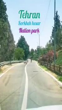 عبور آهوها از مسیر خودرویی پارک سرخه حصار