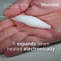 ماهیچه مصنوعی