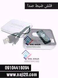 فلش ضبط صدا مخفی 09029452474