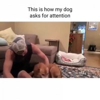 جلب توجه کردن