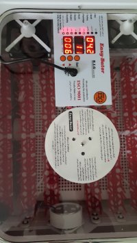 دستگاه جوجه کشی هوشمند و سخنگو