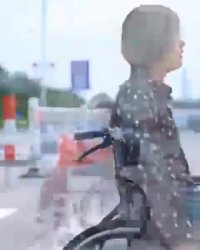 سگ حیوان نجیبی است