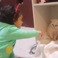 به من دست نزن/گربه بامزه