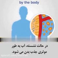 چرا نباید ایستاده آب نوشید؟