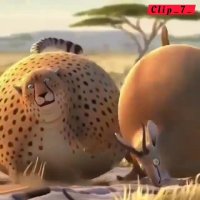 اگر حیوانات چاق بودن