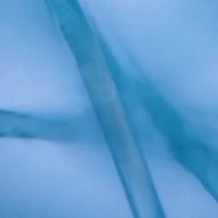 هر ماسکی که تمیز به نظر میرسه که تمیز نیست