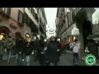 شوالیه‌های مالت