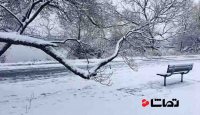 برف می بارد، آهسته و آرام!
