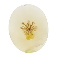 نگین عقیق شجر قائنات تراش بیضی کد N89 0