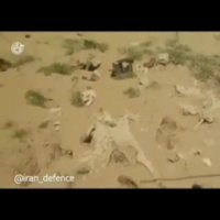 جبهه .شهدا(عباس ایمانی)