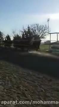 سوارکاری در باشگاه سوارکاری امام خمینی در کرج.