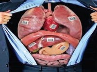 5قسمت از بدن که بیکارند