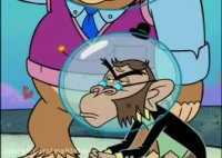 کارتون باب اسفنجی(میمون ها)