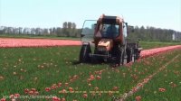 Awesome flower machine - new heavy technology machine - best agricultural farming