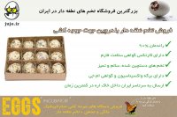 پرورش بلدرچین با تخم های نطفه دار به تازگی مزرعه