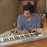 خلاقیت زچ کینگ - گربه هنرمند