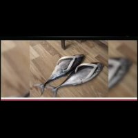 عجیب ترین کفش های دنیا!