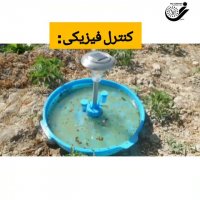 مراقب توتا باشید