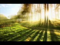 10 ساعت آهنگ آرامش بخش