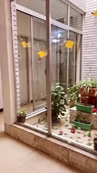 کتابخانه vip اصفهان