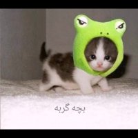 حیوانات بامزه