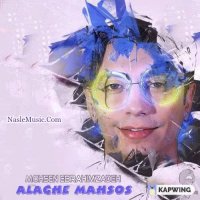 محسن ابراهیم زاده - علاقه محسوس