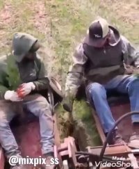 کاشت نهال به روش کاملا ماشینی