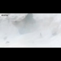 مستند راز بقا جذاب و دیدنی