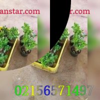 فروش پودر مخمل 02156571497