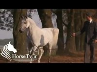 در نرم افزار اسب و سوارکاری عضو شوید