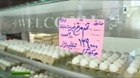 صادرات تخم مرغ کاملا متوقف شده است