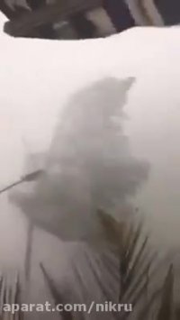 طوفان وحشتناک سیارا در فرانکفورت آلمان