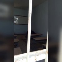 ورود یک قلاده خرس به مدرسه ای در رودان هرمزگان