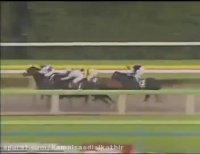 کانال رسمی هیئت سوارکاری استان خوزستان