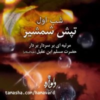دلواره - شب هفتم محرم