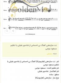 نت سازدهنی آهنگ بی احساس از شادمهر عقیلی با تنظیم مسعود موجی