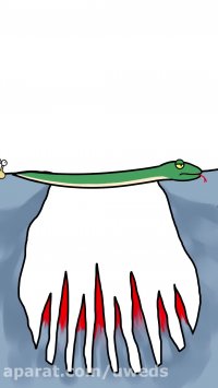 زندگی تلخ حیوانات | کارتون حیوانات جنگل