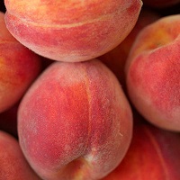 خرید هلو خونی 09121270623