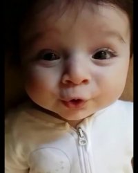 یکی ترجمه کنه این کوچولو چی میگه