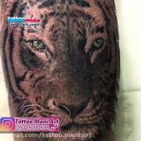 اموزش طراحی تاتو ببر روی بدن