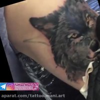 آموزش تتوی گرگ سیاه روی بازو