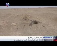 کشف بزرگترین گورجمعی