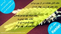 سم علف کش ریشه کن کننده انواع علف هرز | هملت | Hamlet