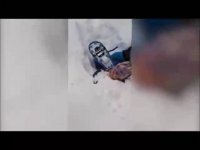 جالب - گلچین شده : لحطه های خنده از ته دل- کوتاه