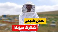 عسل طبیعی شکرک میزنه!