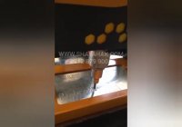 دستگاه حکاکی پرتابل / مارک زنی / شایا حک