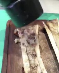 طبخ جالب مغز استخوان !!!